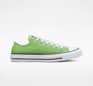 Converse Chuck Taylor All Star Seasonal Color Virtual Matcha | UEJKMV-051