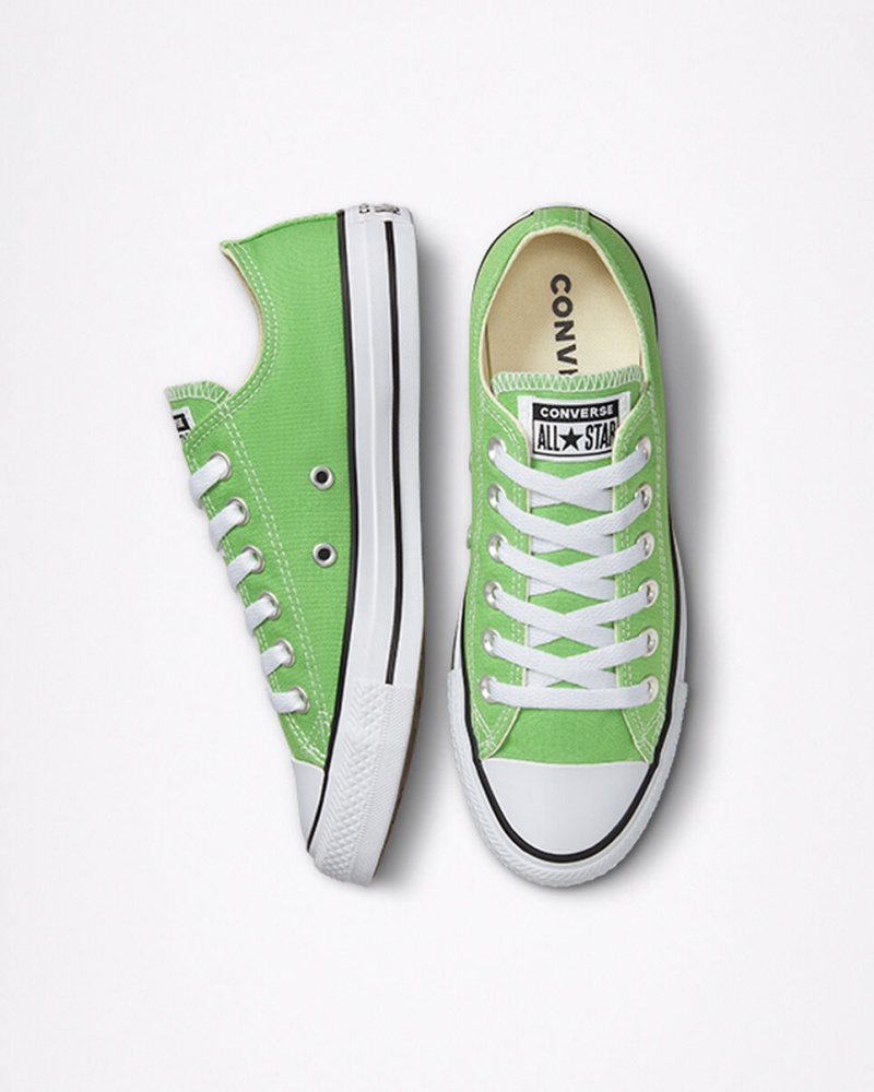 Converse Chuck Taylor All Star Seasonal Color Virtual Matcha | DRJGAS-387