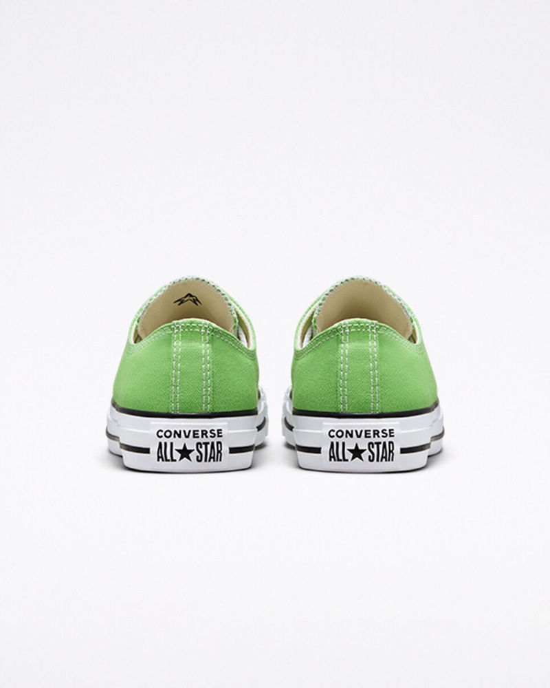 Converse Chuck Taylor All Star Seasonal Color Virtual Matcha | DRJGAS-387