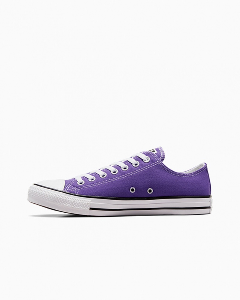 Converse Chuck Taylor All Star μωβ | ZMYDWS-372