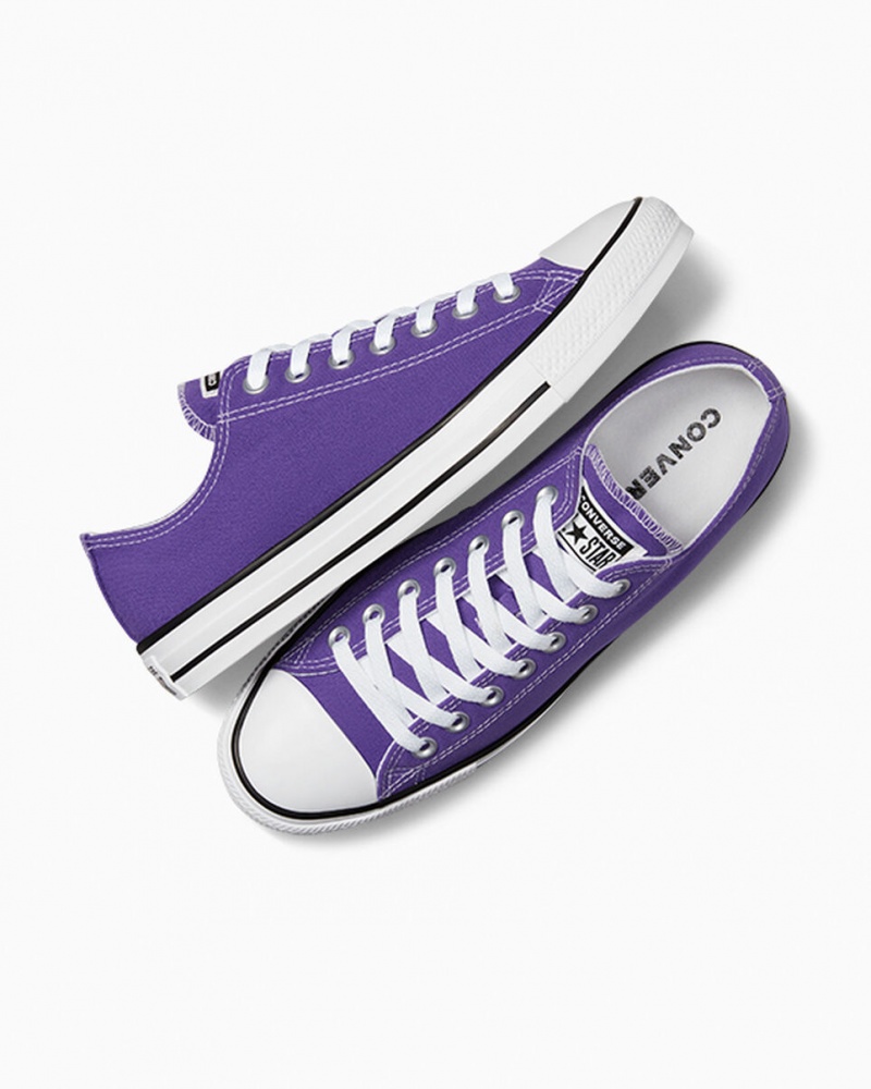 Converse Chuck Taylor All Star μωβ | ZMYDWS-372