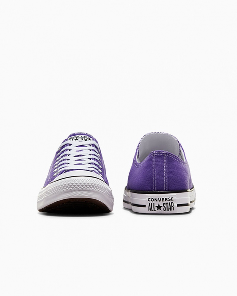 Converse Chuck Taylor All Star μωβ | ZMYDWS-372